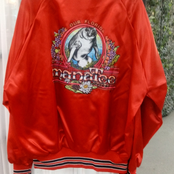 Jacket - Picture 2 of 2